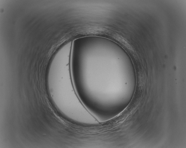 X0000067360489200603310929