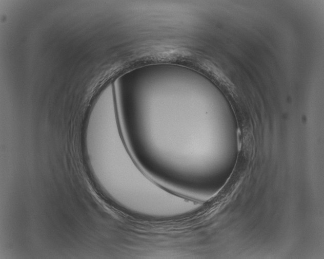 X0000067360493200603310928