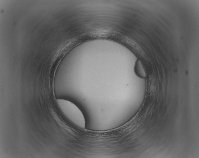 X0000067360494200603310928