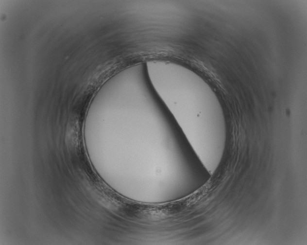 X0000067360498200603310928