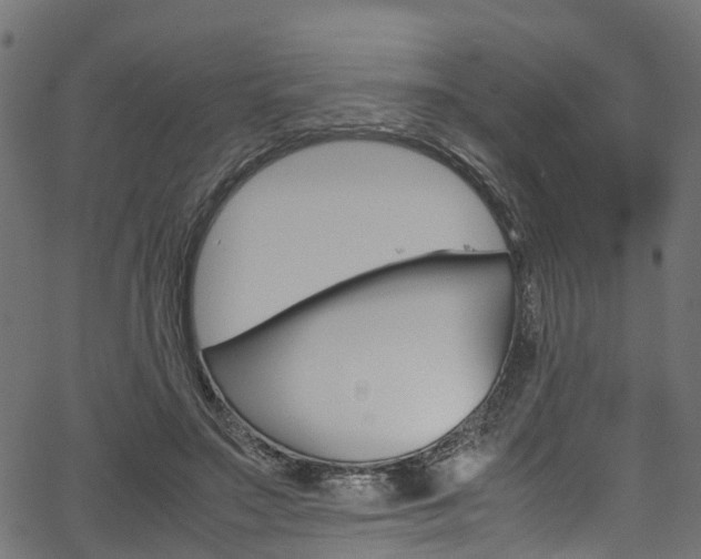 X0000067360499200603310928