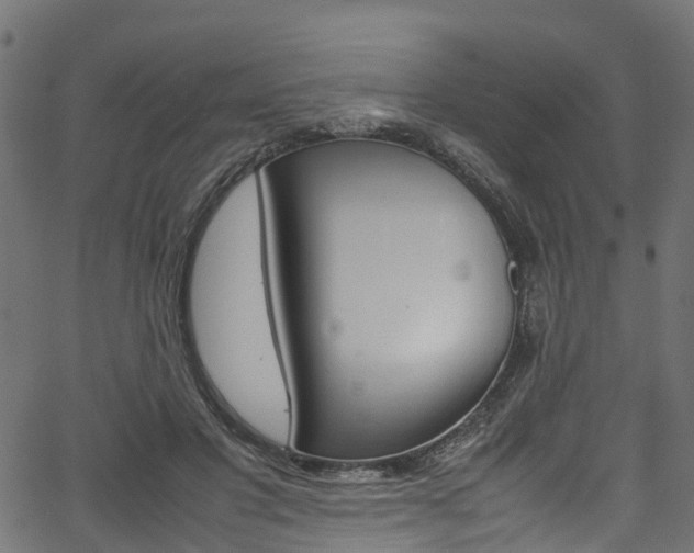 X0000067360501200603310928