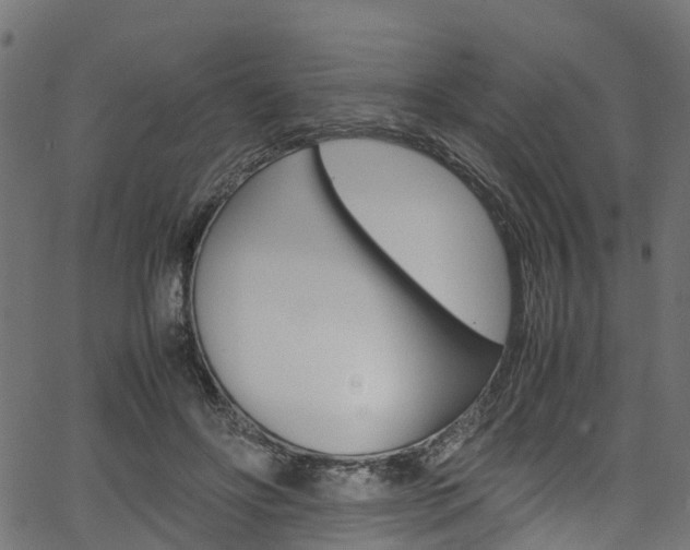 X0000067360502200603310928