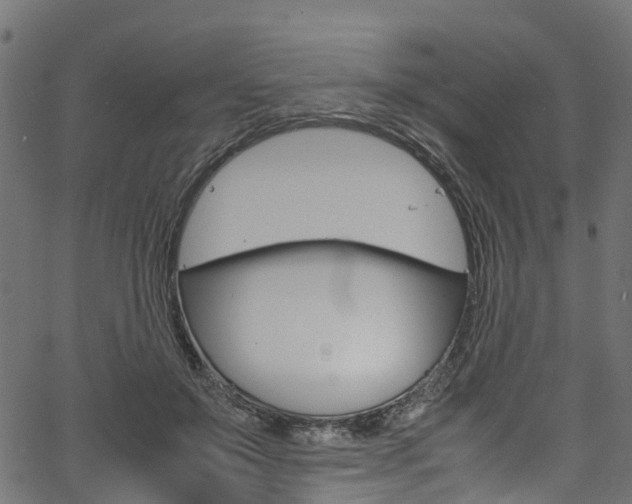 X0000067360503200603310928