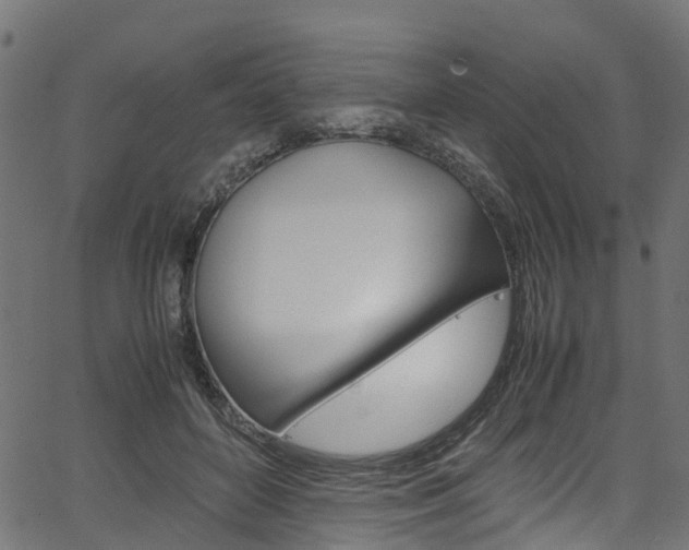 X0000067360504200603310928