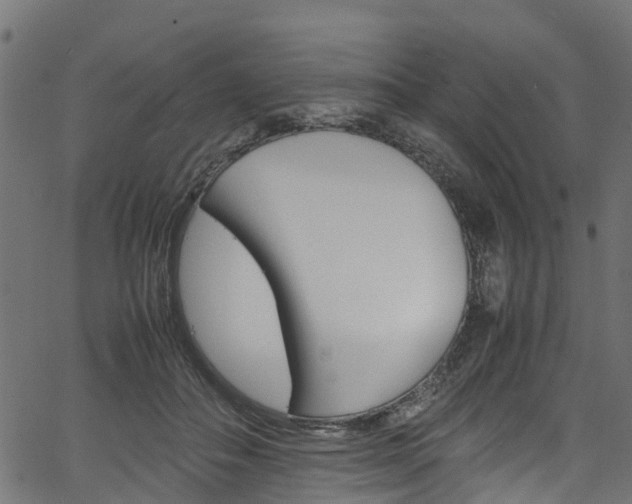 X0000067360506200603310928