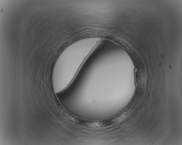 X0000067360513200603310928