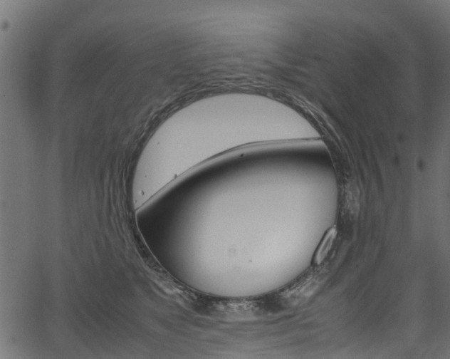 X0000067360517200603310928