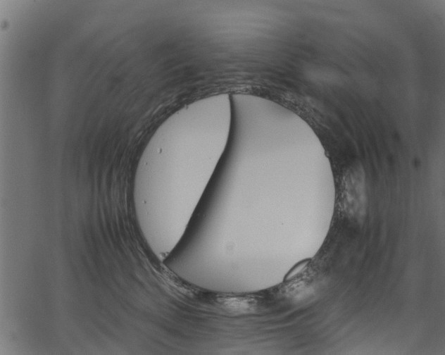 X0000067360522200603310928