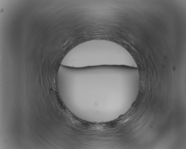 X0000067360523200603310928