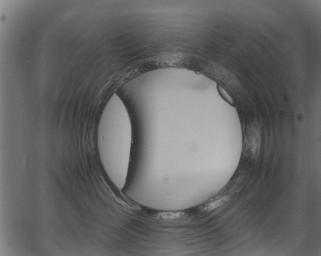 X0000067360526200603310928