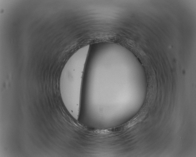 X0000067360528200603310928