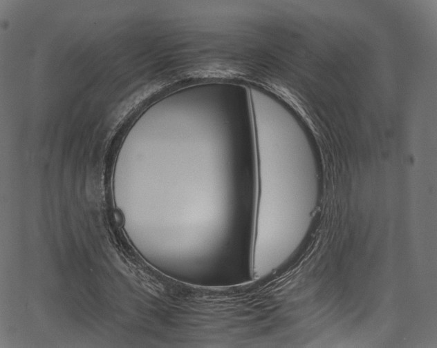X0000067360531200603310927