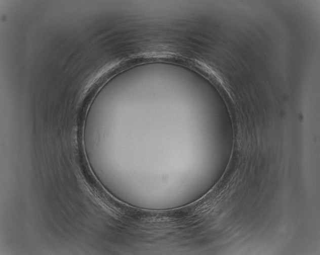 X0000067360535200603310927