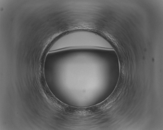 X0000067360540200603310927