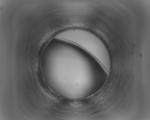 X0000067360544200603310927