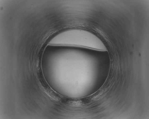 X0000067360548200603310927