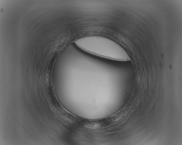 X0000067360551200603310928