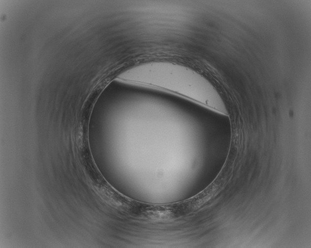 X0000067360552200603310928
