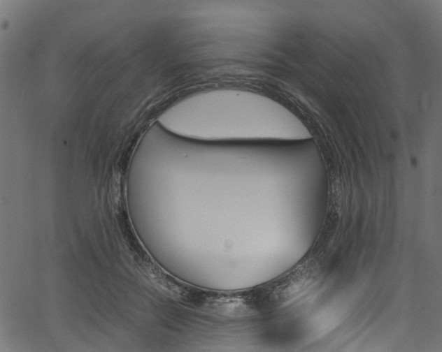 X0000067360554200603310928