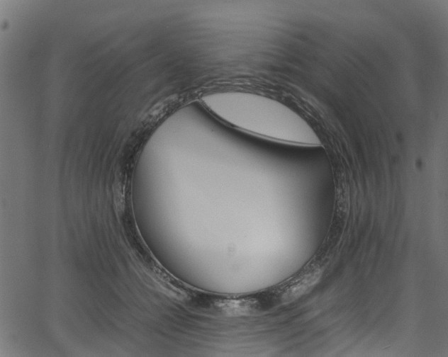 X0000067360558200603310928