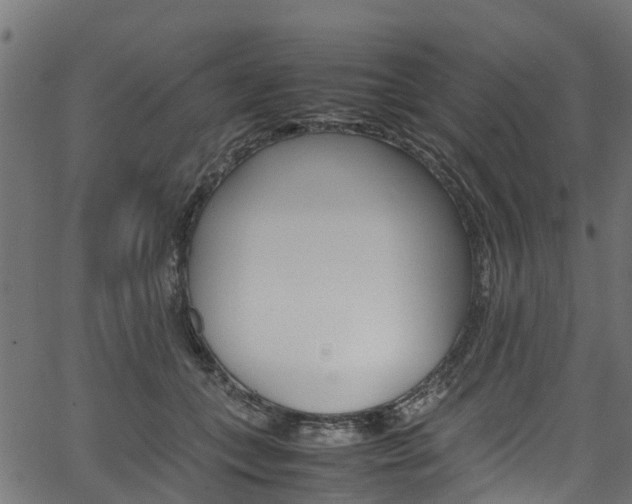 X0000067360559200603310928