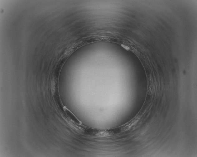 X0000067360562200603310928