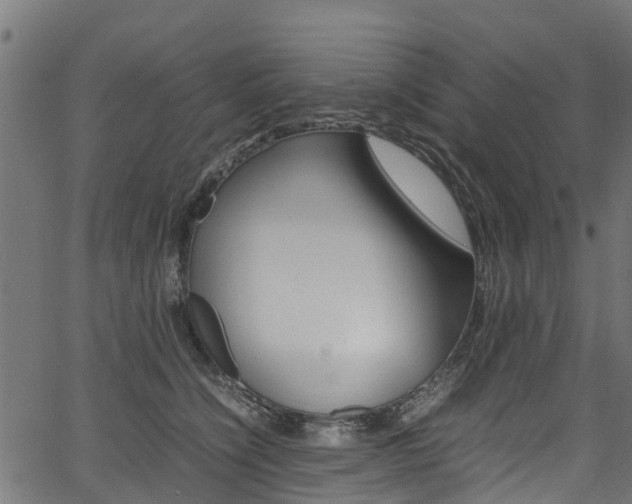 X0000067360564200603310928