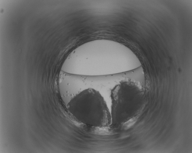 X0000067360573200603310928