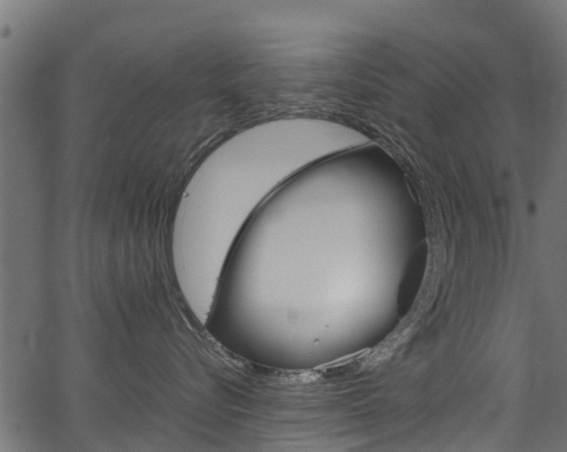 X0000067360576200603310928