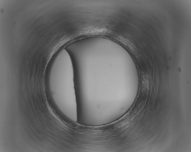 X0000067360582200603310927