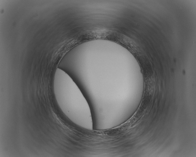 X0000067360594200603310927