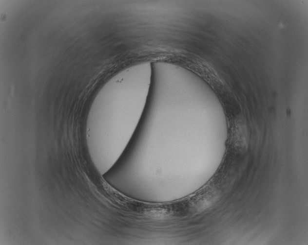 X0000067360598200603310927