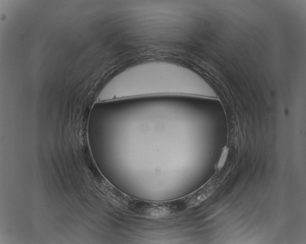X0000067360604200603310927