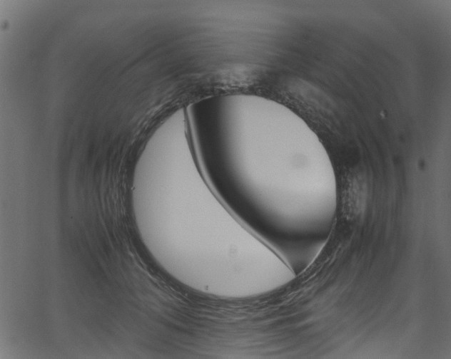 X0000067360608200603310927