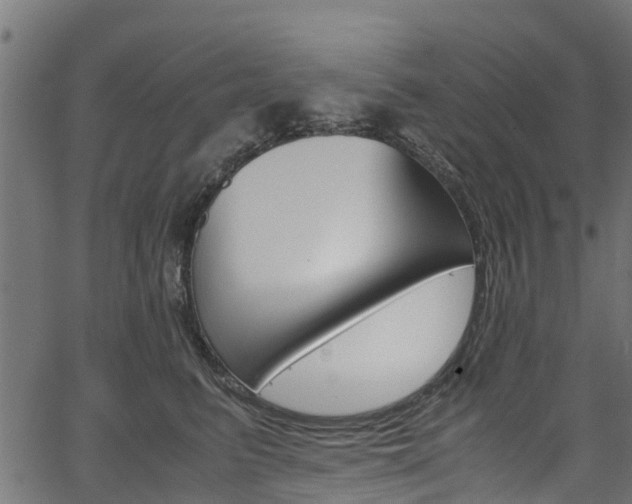 X0000067360615200603310926