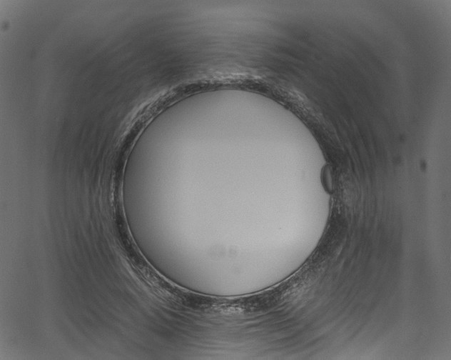 X0000067360640200603310926