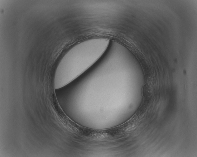 X0000067360642200603310926