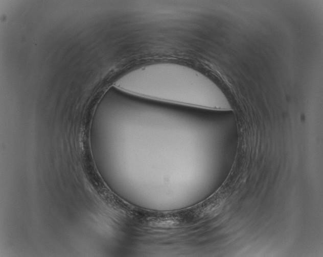 X0000067360643200603310926
