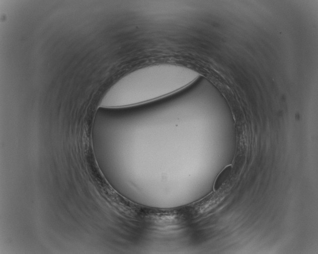 X0000067360651200603310926