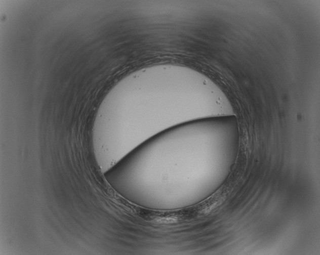 X0000067360653200603310926