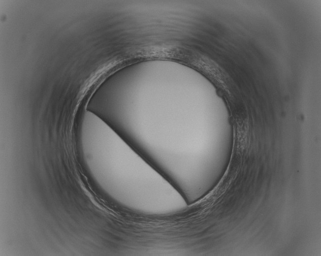 X0000067360674200603310925
