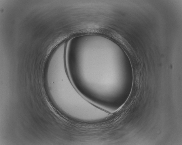 X0000067360677200603310925