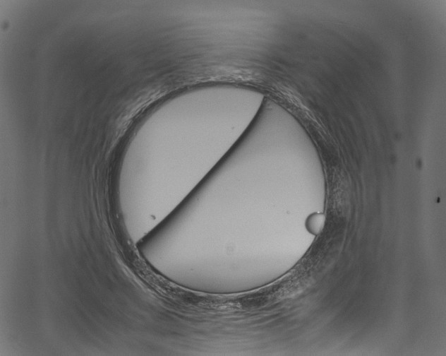 X0000067360683200603310925