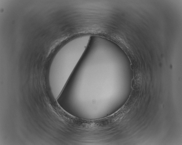 X0000067360688200603310925