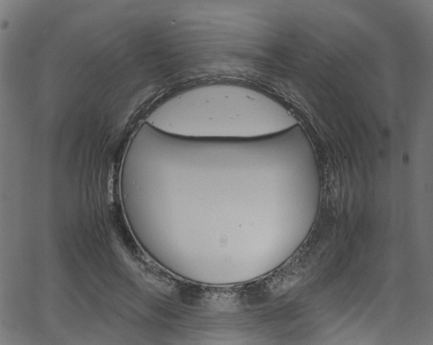 X0000067360694200603310925