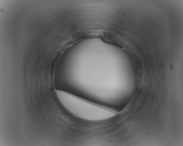 X0000067360704200603310925