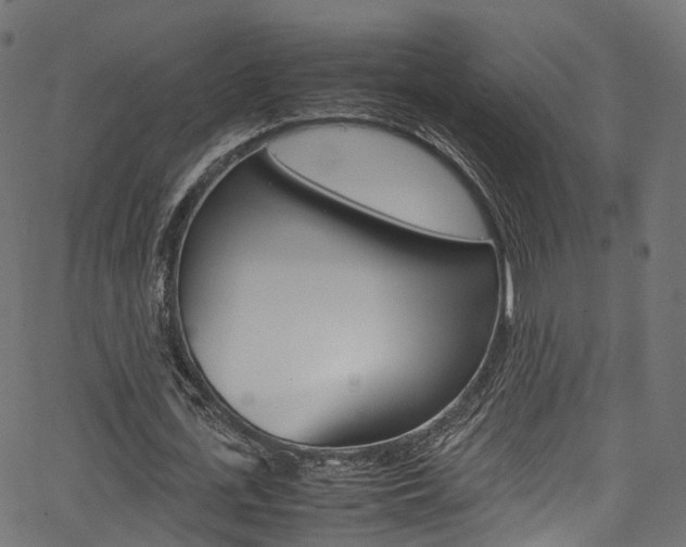 X0000067360723200603310924