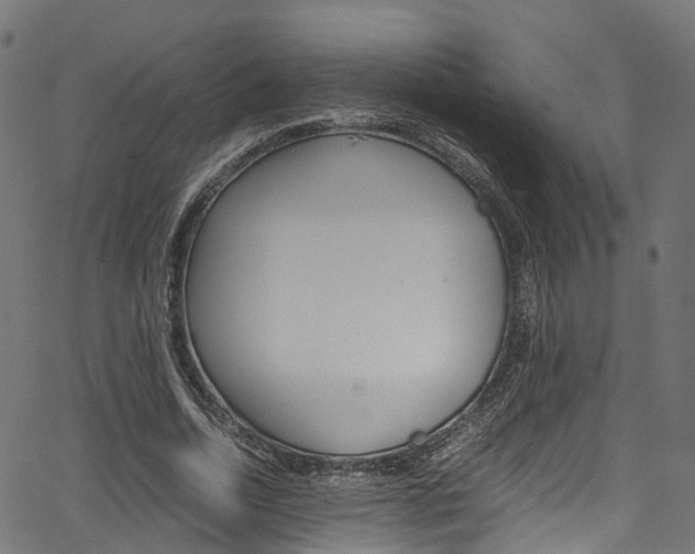 X0000067360730200603310924