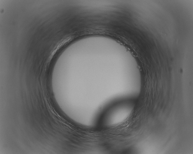 X0000067360731200603310924